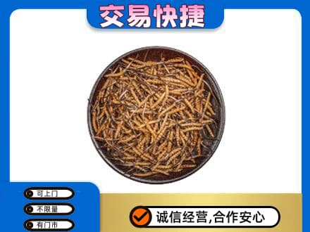 重庆垫江县高价回收散虫草
